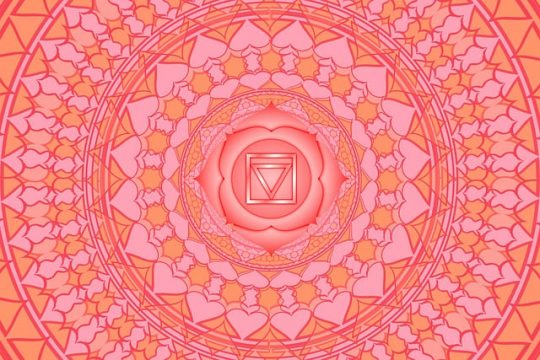 Les Chakras et le Reiki : Un Guide Complet - REIKI DETENTE