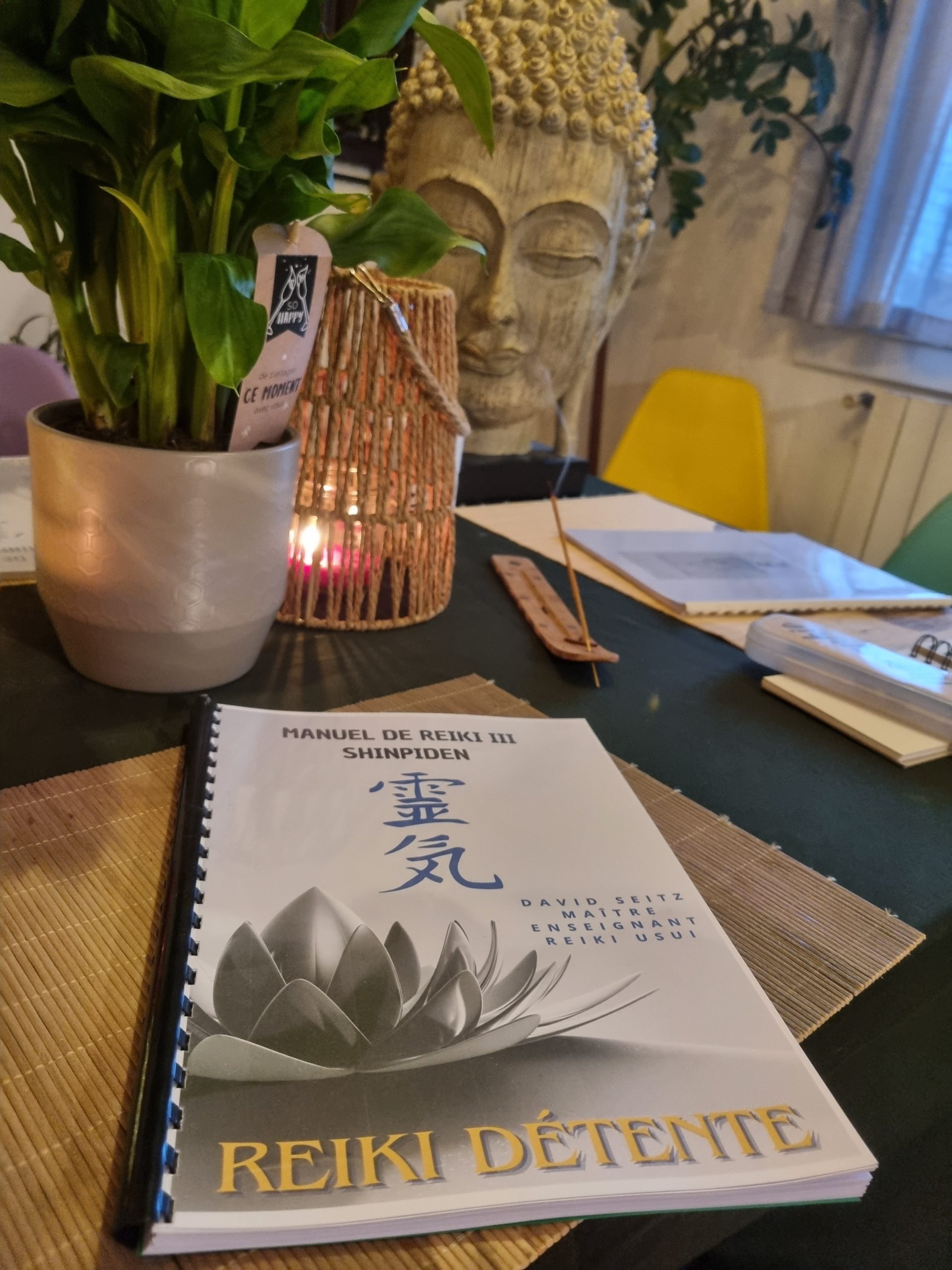 Formation Reiki à Vias